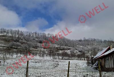 Casă cu 4 camere în Gogan - 5