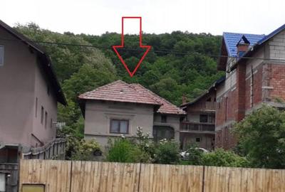 Casă cu 4 camere cu Teren 2513 Mp în Prislopu Mic - 8