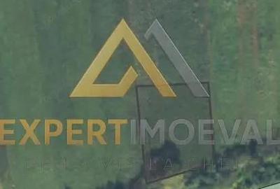 Teren de 968 mp, în Săsar - 1