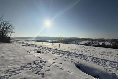 Teren de 1439 mp, în Viile Satu Mare - 5