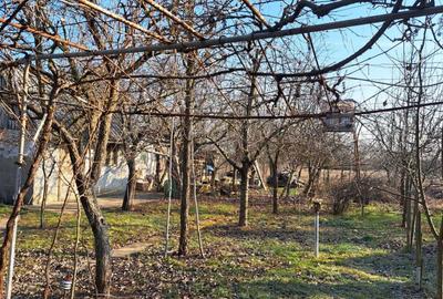 Casă cu 1 camere în Niuved - 8