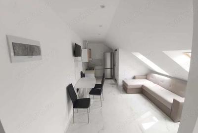 Apartament cu o camera zona Aradului - 2