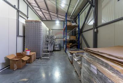 Spatiu industrial modern de vanzare - Fagaras - Comision 0% - 33