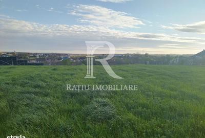 Casă cu 3 camere în Rontău - 4