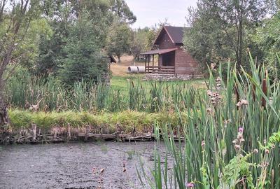 VANZARE ANSAMBLU CASUTE BRADULET ARGES - 14