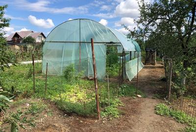 VAND VILA COMUNA BULBUCATA SAT TEISORI - 13