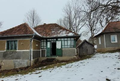 Casă cu 2 camere în Vânători - 7