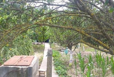 Casă cu 3 camere cu Teren 1700 Mp în Izvoarele - 3