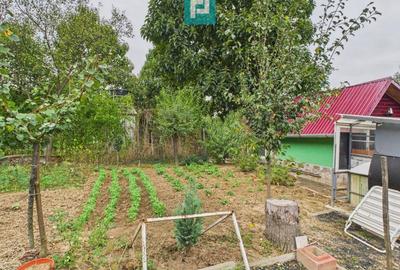 Căsuță de vacanță pentru pescari în Lipova - 11