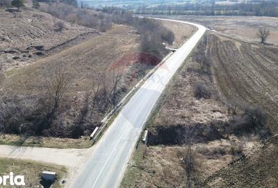 Teren de 2000 mp, în Moșna - 34