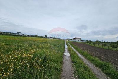 Teren 1,495mp Dobreni / Strada Parau Almas - 13