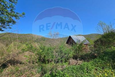 Teren de vis în Stejeriș – utilități, natură, acces rapid! - 9