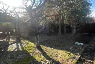 Casă cu Teren 2544 Mp în Cicârlău - 14