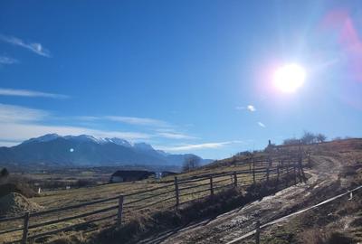 Teren Construcții intravilan de 5550 mp, în Tohanu Nou