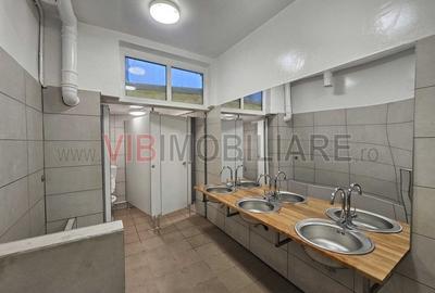 Casă cu 6 camere cu Canalizare în Pache Protopopescu - 8