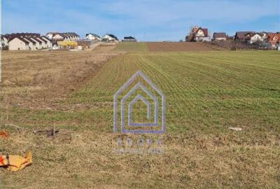 Teren Sfantu Ilie, vis-a-vis Moara - 4