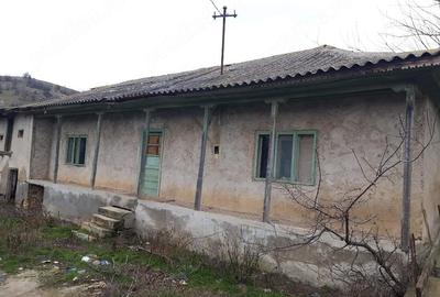 Casă cu Teren 1884 Mp în Baia - 1