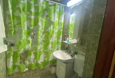 Apartament cu 3 camere semidecomandat, mobilat în 1 Decembrie 1918 - 7