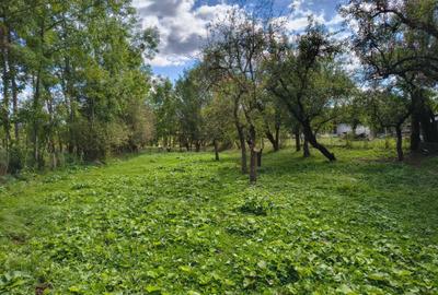 Teren de 2016 mp, în Costești - 5