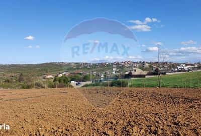 Spațiu comercial, în Spitalul Județean - 4