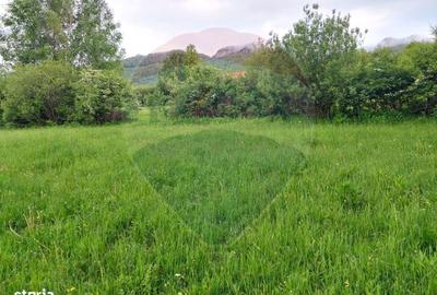 Spațiu comercial, în Predeluț - 8