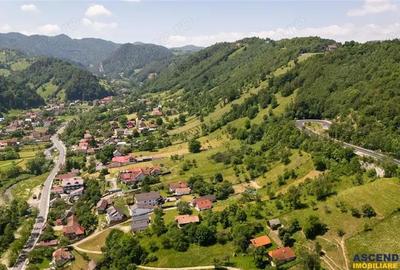 FILM!View superb catre munti,teren pretabil constructie Hotel,4.400 mp, Moieciu de Jos, Bran - 3