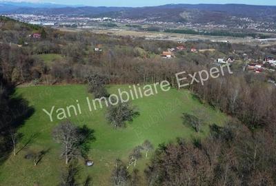 Teren 13.643 mp intravilan de vanzare in Curtea de Arge?. - 16