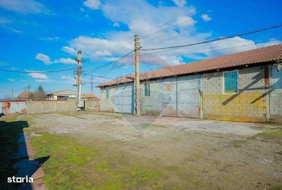 Spațiu comercial, de 820 mp, în Girișu de Criș - 11