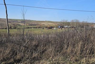 Teren de 1500 mp, în Cetariu - 2