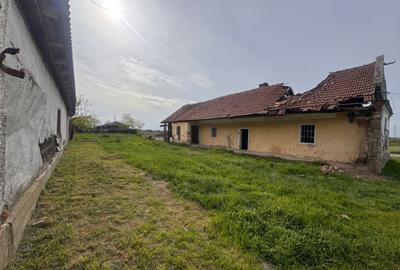 Teren Construcții intravilan de 971 mp, în Dudeștii Noi - 1