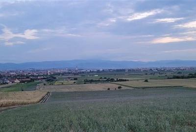 Terenuri intravilane cartier Gusterita, Sibiu - 3