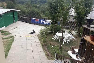 Casă cu 4 camere în Topoloveni - 2