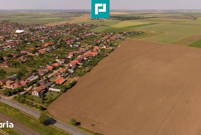 Teren de 28500 mp, în Șofronea - 7