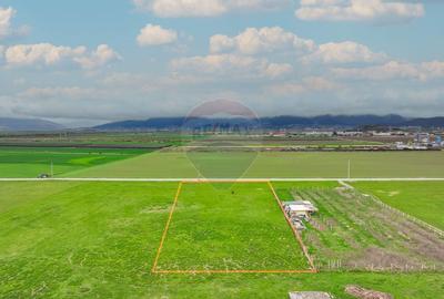 Teren Construcții intravilan de 6200 mp, în Uzina 2 - 3