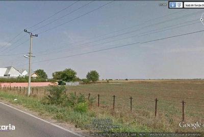 Teren de 10000 mp, în Dascălu - 1