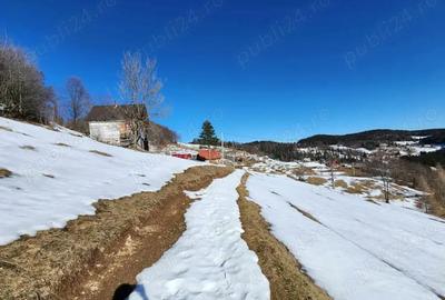 Casa batraneasca - 6