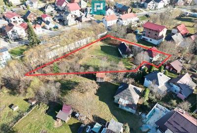 Casa de lemn, cu teren in Bor?a - 6