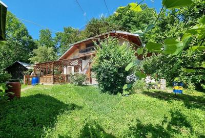 Casa de la marginea padurii! - 7