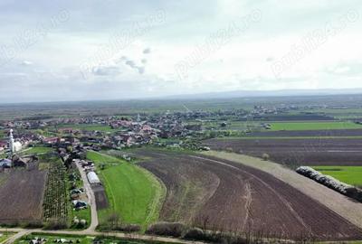 Parcele de teren - 729 mp | Amati - 3,5 km de Satu Mare - 2