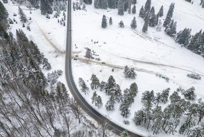 Teren Construcții intravilan de 10440 mp, în Poiana Brașov - 11