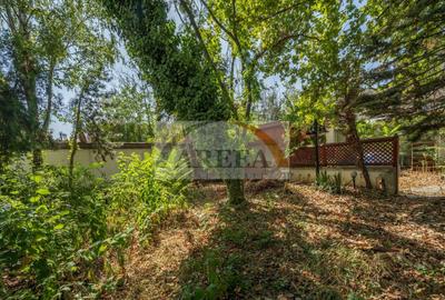 ULTRACENTRAL - Vilă UNICĂ și cu POTENȚIAL uriaș, o poveste de succes - 30