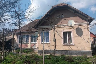 Casă cu 4 camere în Lunca Mureșului - 2