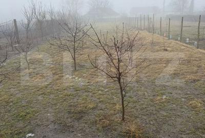 Casă cu 5 camere cu Teren 1138 Mp în Moara - 2