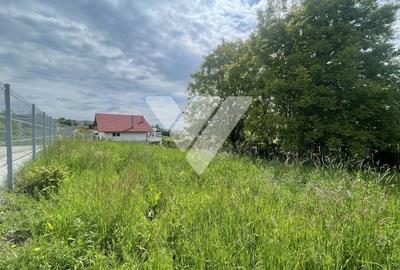 Teren Intravilan Constructii - Cisnadioara - Sibiu - 7