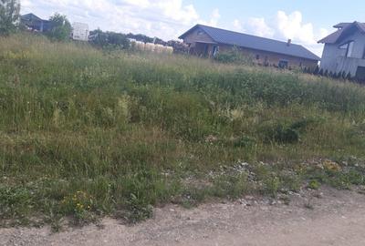 Teren de 1700 mp, în Colțirea