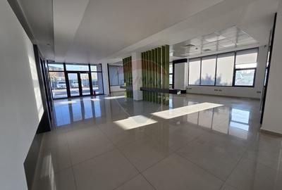 Hala plus spatiu birouri, zona Strada Vrancei - 8