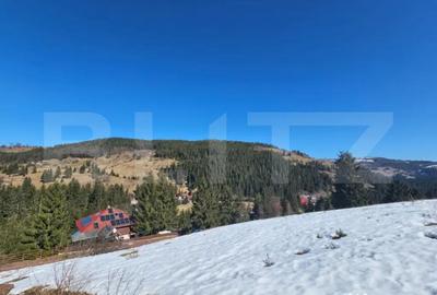 Teren în Galbena - 1