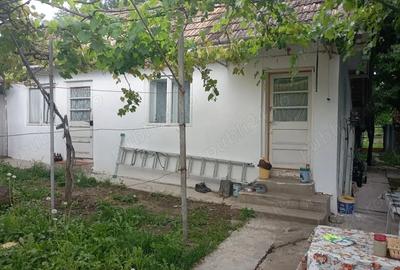 Casa cu gradina
