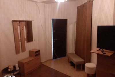 Apartament cu 2 camere în Bucium - 6