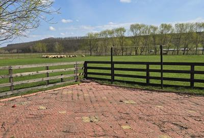 Teren de 60000 mp, în Stoenești - 7